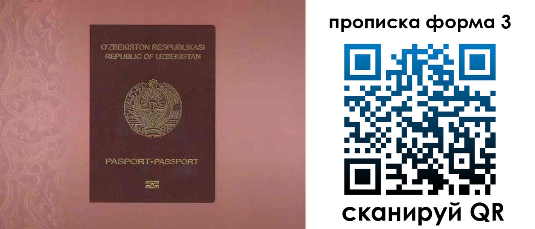 регистрация в Таре